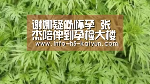 谢娜疑似怀孕 张杰陪伴到孕检大楼检查|开云中国官网(图4) 开云官方平台